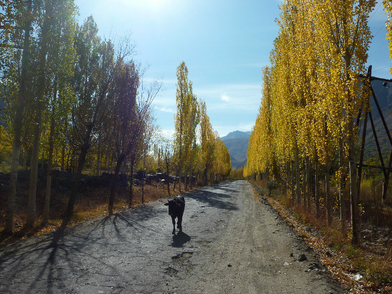 An autumn day in Tajikistan