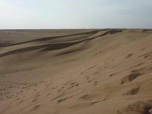 More views of the desert