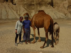 With the Camel herder
