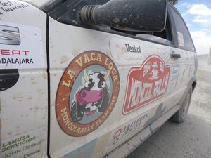 The 'mad cow' Mongolian Rally driver