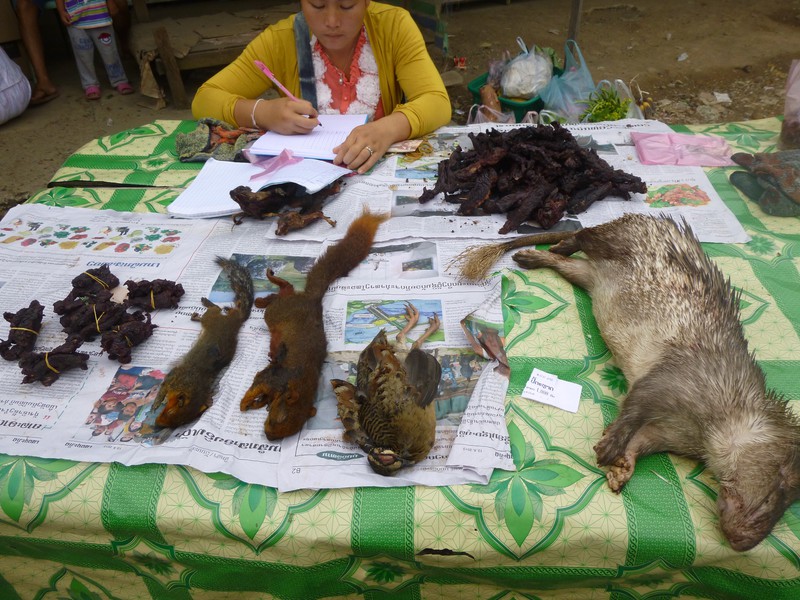 Some of the animals that are eaten in Laos