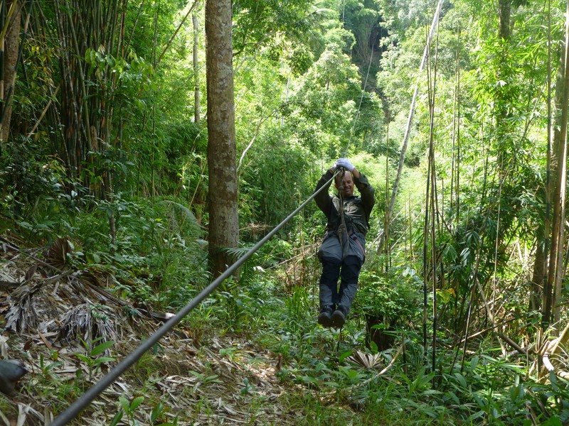 Zip lining on the Gibbon Experience