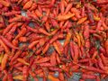 Red Hot Chilly Peppers