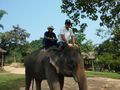 Elephant Village Luang Prubang