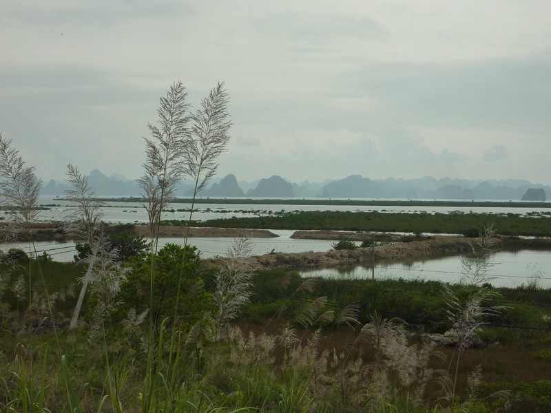 On the outskirts of Halong Bay