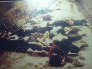 War Photos of the Mai Lai Massacre