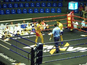 Thai Boxing bout
