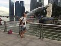 Drinking from the Merlion