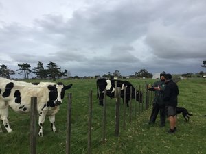 How to be Dairy Farmer