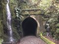 Tunnel on the Rimutaka Rail trail