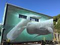 Whale painting in Kaikoura