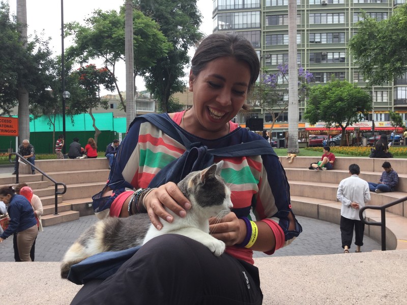 Noushin with cats in Park Kennedy