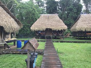 Our accommodation in the jungle