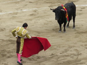Spanish matador