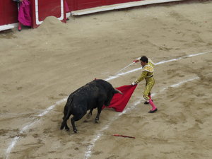 The final moment before the bull is killed