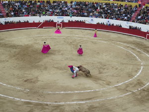 The bull being worn down by several Matadors