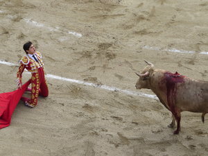 Matador beckoning the bull to charge