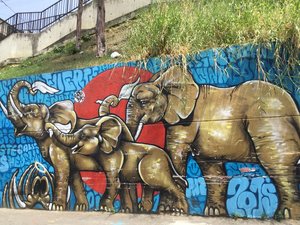 Grafitti in Medellin
