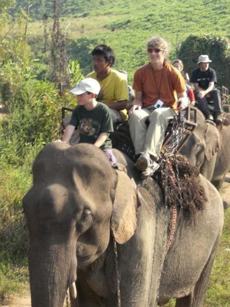 Koby Gordon--Elephant Driver