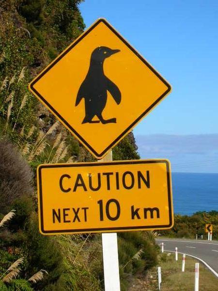 Road Sign New Zealand