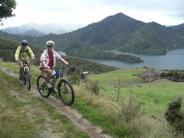 Cycling Queen Charlotte Track