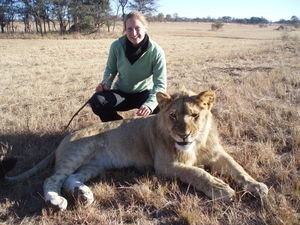 Walking with lion cubs