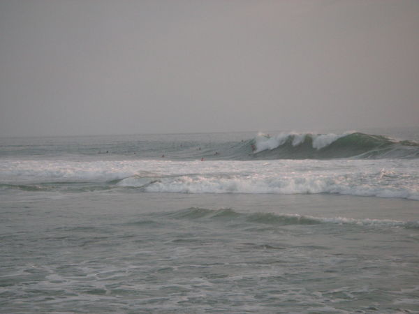 surfer at Puerto