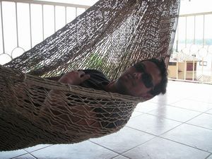 Life in a hammock