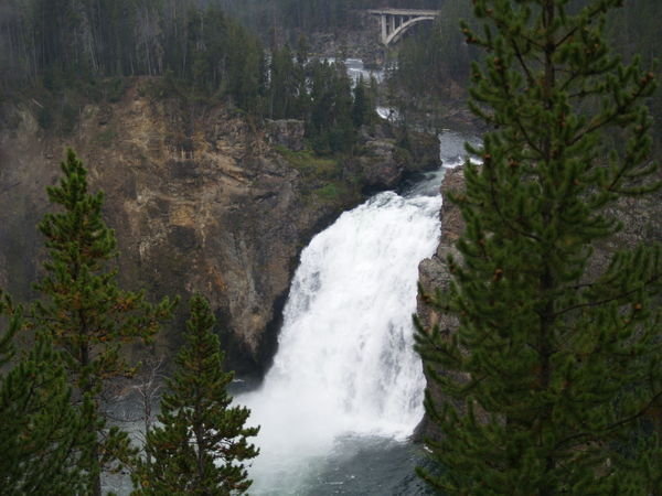 Upper Falls - Yellowstone River