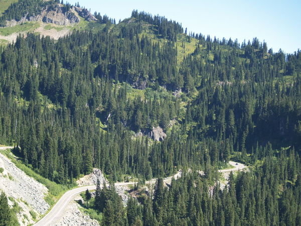 Switchback roads at Chinook Pass