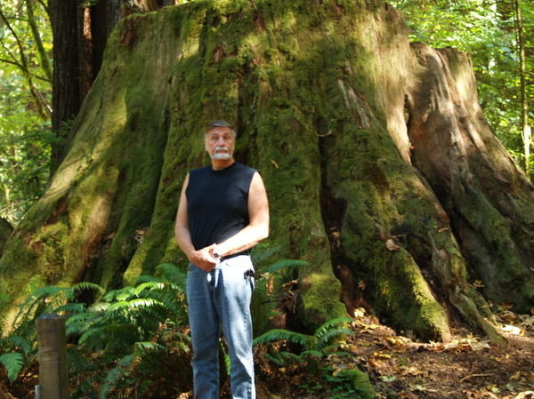 Dave standing in front of Redwood Stump
