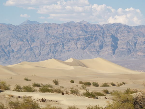 Sand dunes on desert floor