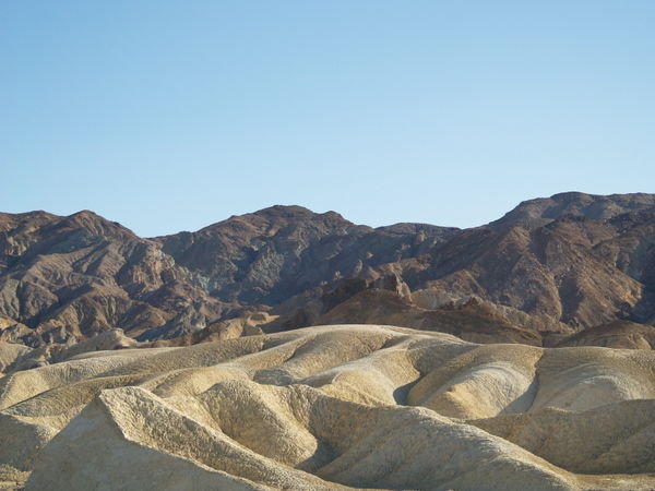 Strange shapes of the desert