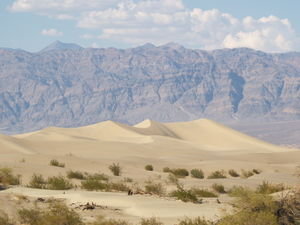 Sand dunes on desert floor
