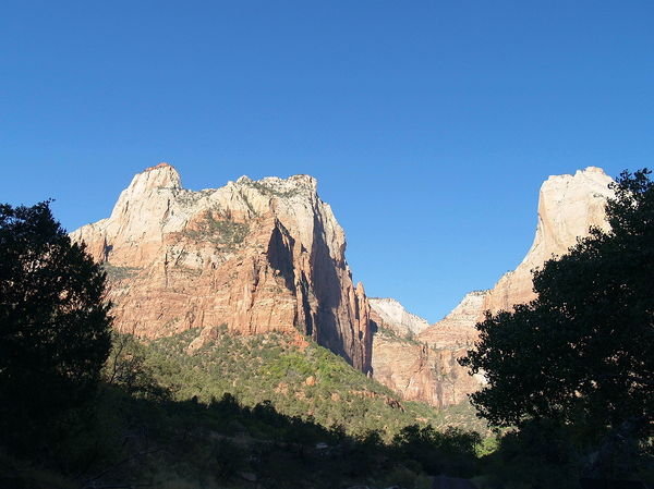 Scenery in Zion Valley