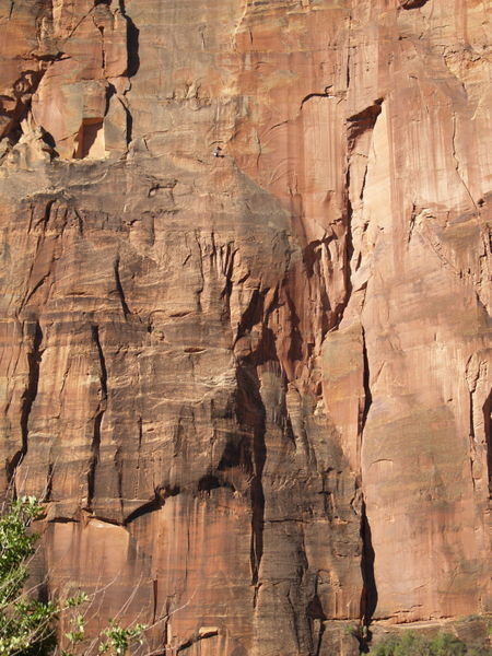 Can you spot the rock climbers on this wall