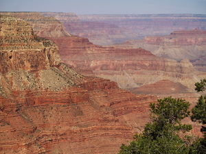 The Beautiful Grand Canyon