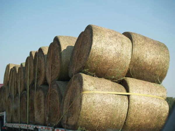 A truck load of hay