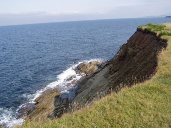 Cliff at whale cove