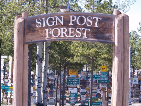 Sign Post Forest