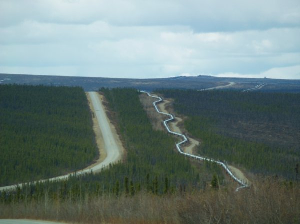 The Dalton Highway and the Pipeline