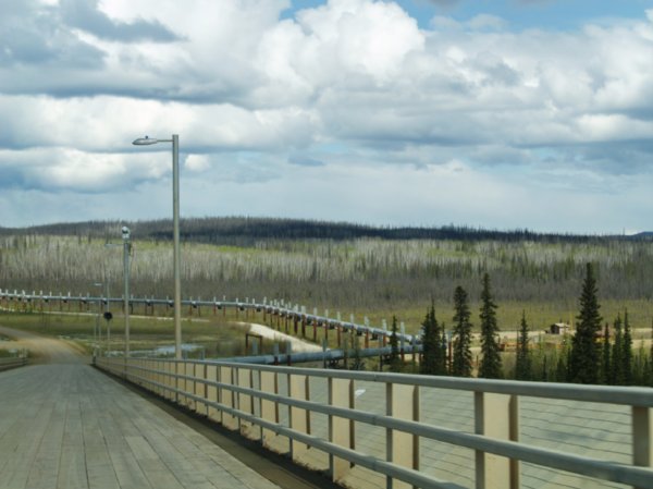 Wooden Plank Bridge ober Yukon