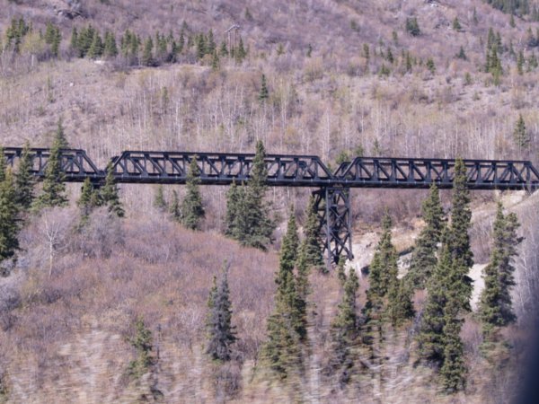 Train Tressels at Nenana Canyon