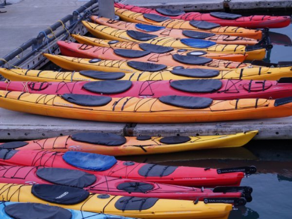 They renta lot of kayaks here