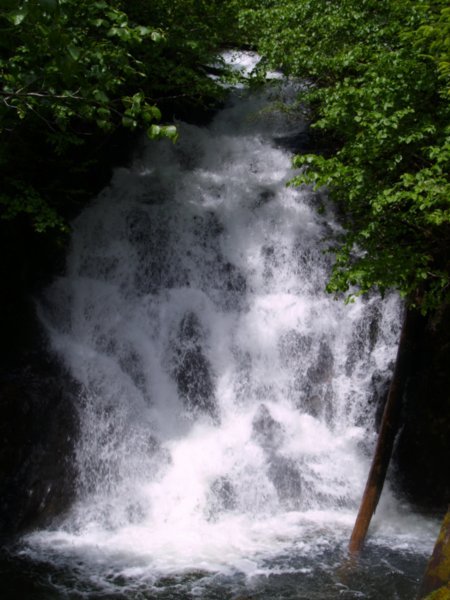Waterfalls on S Tongass