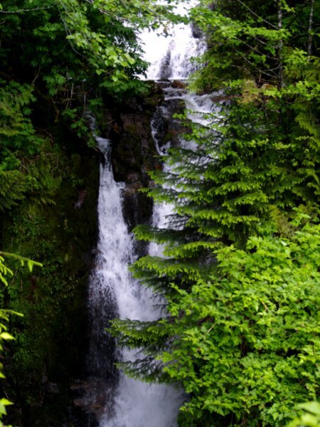 Another Falls on S Tongass