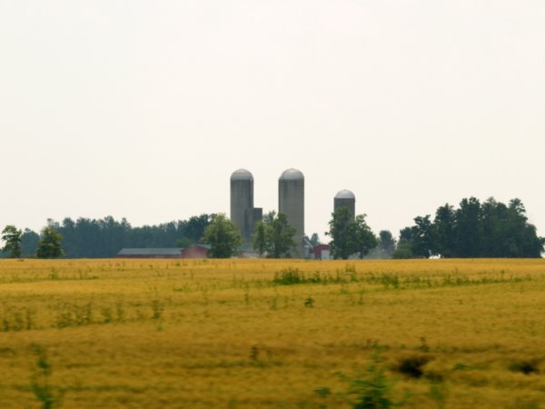 Lots of farmland in Ontario