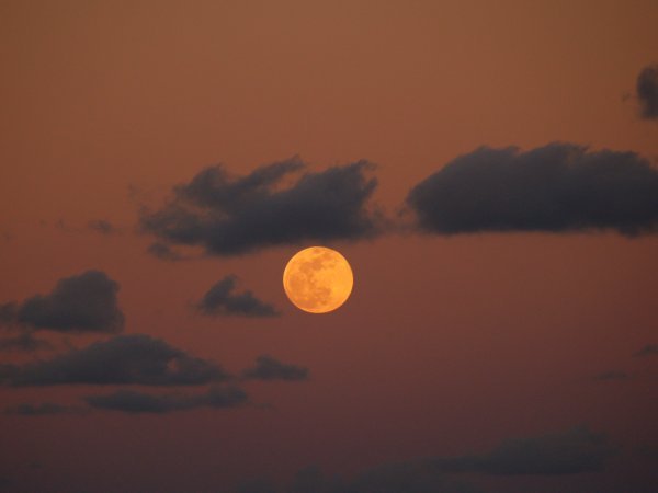 Full Moon over Long Key