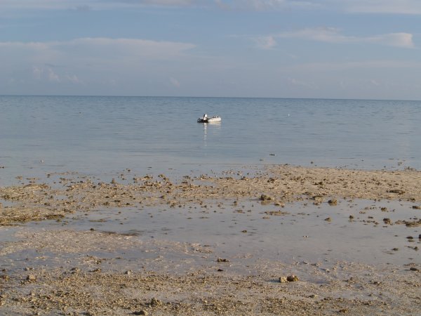 Dave's lonely boat at low tide