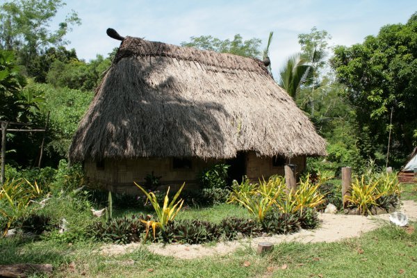 The family bure (a bloody good example of a traditional thatched dwelling)